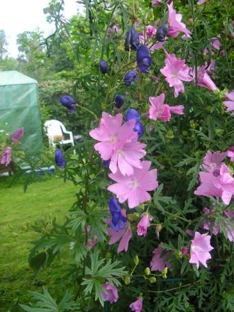 gallery_5006_958_14233.jpg