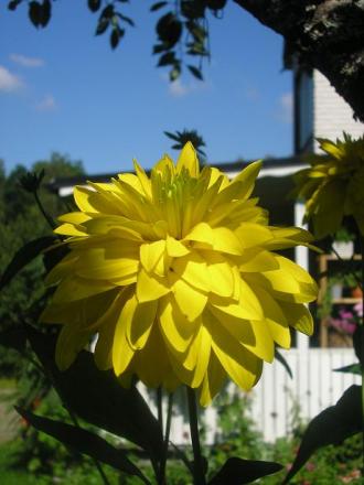 gallery_5006_958_16234.jpg