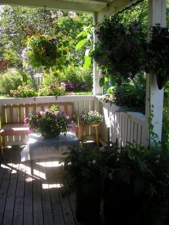 gallery_5006_958_59754.jpg