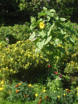 gallery_5006_958_72980.jpg