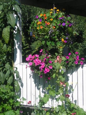 gallery_5006_958_88852.jpg