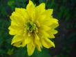 tn_gallery_4113_49_24471.jpg