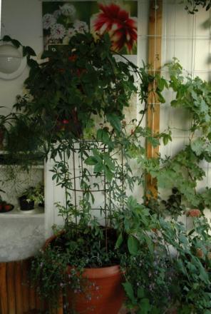 gallery_1090_968_5416.jpg