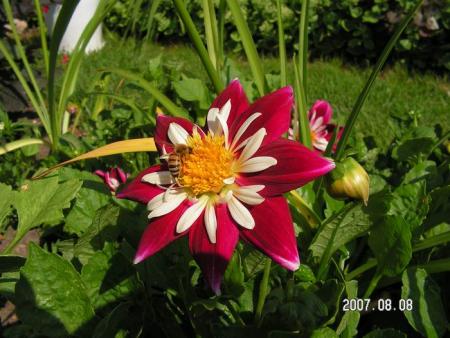 gallery_1786_950_28138.jpg