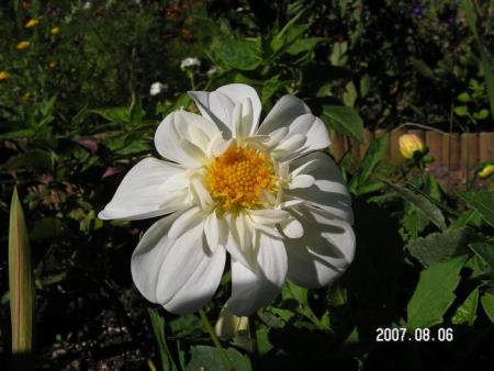 gallery_1786_950_7405.jpg