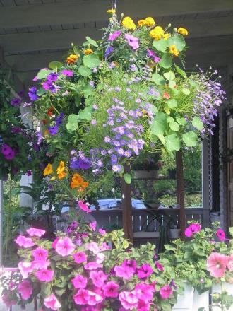 gallery_5006_958_54370.jpg