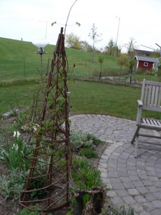 gallery_2753_978_8521.jpg