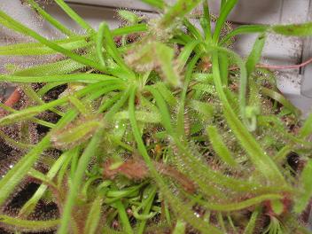 gallery_12008_984_27862.jpg