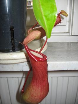 gallery_12008_984_4869.jpg
