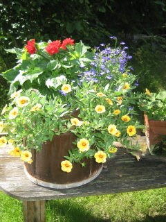 gallery_4383_985_39605.jpg