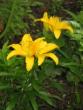 tn_gallery_4383_986_8501.jpg