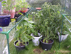 gallery_10582_700_20791.png