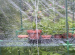 tn_gallery_10582_700_32134.png