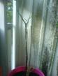 tn_gallery_10811_722_313005.jpg