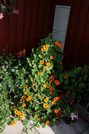 gallery_5169_702_217295.jpg