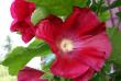 tn_gallery_5169_702_188189.jpg