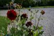 tn_gallery_5169_702_33677.jpg