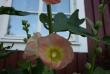 tn_gallery_5169_702_74936.jpg