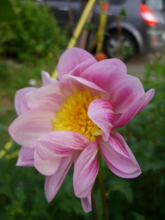 gallery_5307_1007_24393.jpg