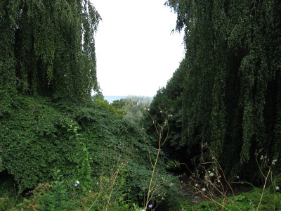 gallery_11016_1014_39934.jpg