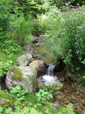 gallery_11016_1014_44287.jpg