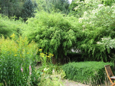 gallery_11016_1014_44484.jpg