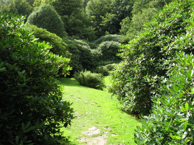 gallery_11016_1014_45193.jpg