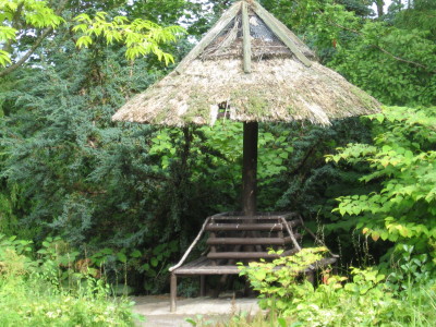 gallery_11016_1014_76260.jpg