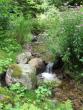 tn_gallery_11016_1014_44287.jpg