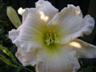 gallery_68_599_1814.jpg