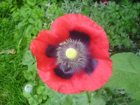 gallery_5006_958_1065.jpg