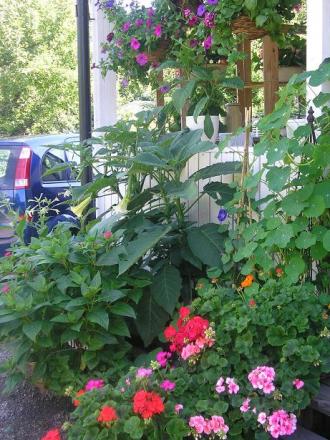 gallery_5006_958_43785.jpg