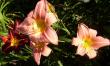 tn_gallery_68_599_124315.jpg