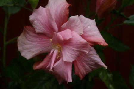 gallery_5169_1018_34185.jpg