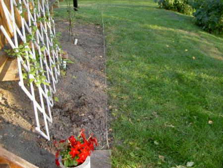 gallery_9134_894_44115.jpg