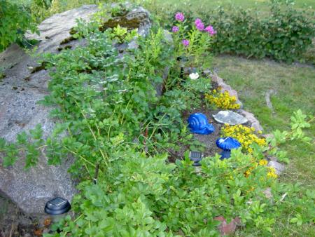 gallery_9134_894_60077.jpg