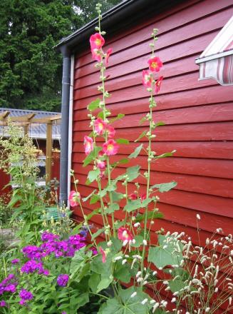 gallery_14_178_96564.jpg