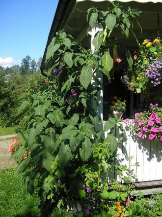 gallery_5006_958_34156.jpg