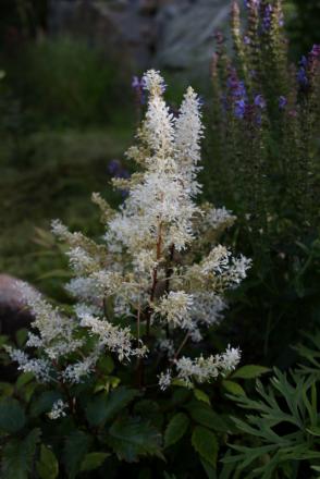 gallery_5169_1018_145153.jpg