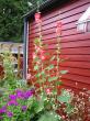 tn_gallery_14_178_96564.jpg