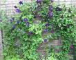 tn_gallery_14_200_69934.jpg