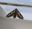 tn_gallery_14_34_20360.jpg