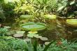 tn_gallery_3723_1021_33188.jpg