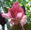tn_gallery_3723_1021_43056.jpg