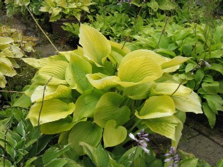 gallery_8660_1029_11308.jpg