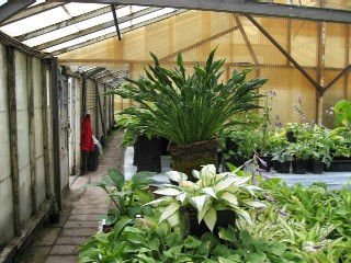 gallery_8660_1029_9856.jpg