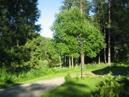 gallery_10247_1026_156535.jpg