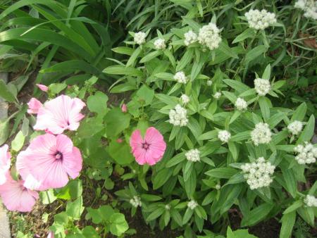 gallery_10247_1026_161083.jpg