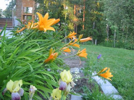 gallery_10247_1026_59738.jpg