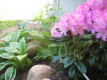gallery_10247_1026_60666.jpg